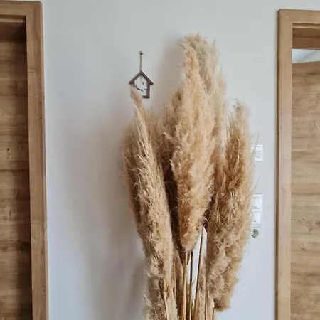 منزل للإقامة Private In Neubau Familienhaus