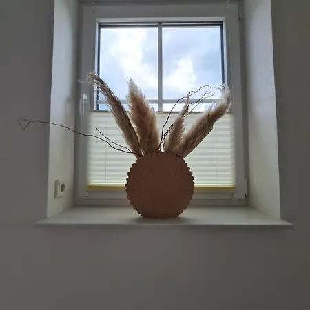 Private In Neubau Familienhaus آلسفلد